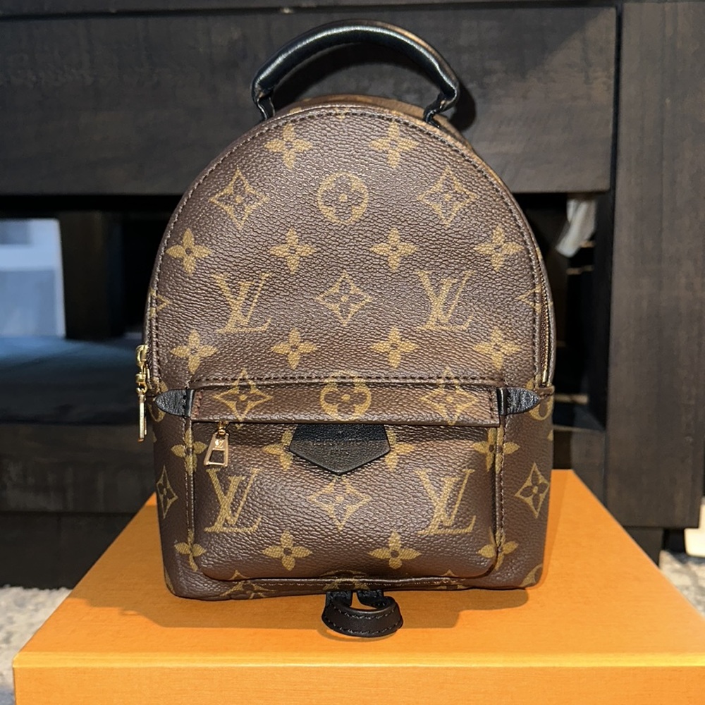 Louis Vuitton Palm Springs Mini